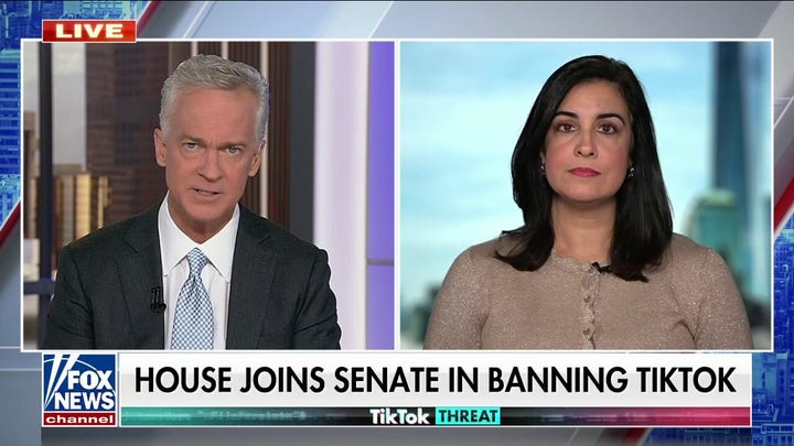 Rep. Nicole Malliotakis: Chinese Communist Party's control over TikTok is 'deeply disturbing'