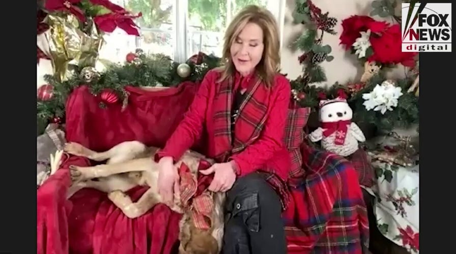 'Exorcist' actress Linda Blair shares what she remembers most from the movie