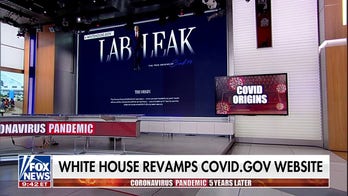 White House takes aim at Dems, mask mandates in revamped COVID-19 website