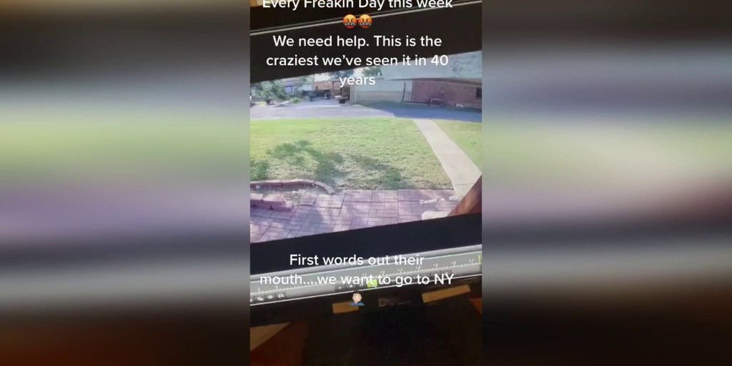 Texas farmer living near border shows footage of migrants running onto ...