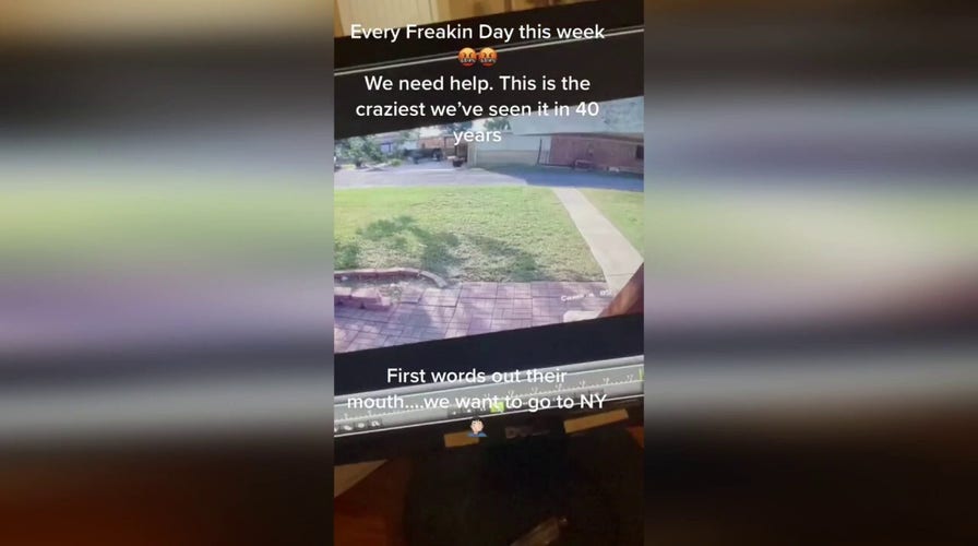 Texas farmer living near border shows footage of migrants running onto his property, breaking into homes.mp4