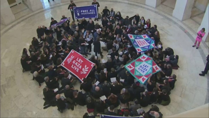 Capitol police arrest pro-Palestinian 'cease-fire' protesters in Rotunda 