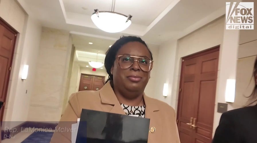 Dem congresswoman arrested for storming New Jersey ICE facility ignores questions about fundraising off charges