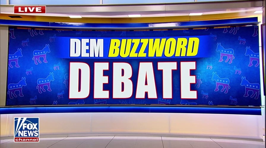 Democrats debating use of certain buzzwords in effort to regain voters