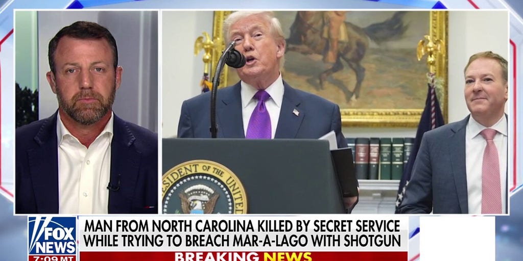 The more the Dems push on Trump, the stronger his backbone gets, GOP senator says