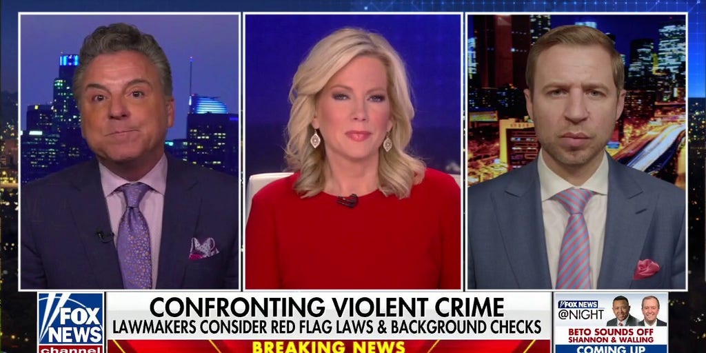 What might compromise gun legislation look like fox news video