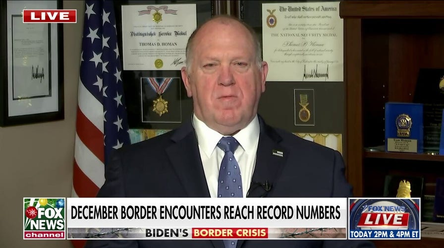 Tom Homan sends message to lawmakers over border crisis: Stay in DC and do your job