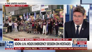 Consul general of Israel in NY urges that there is 'no starvation in the Gaza Strip'