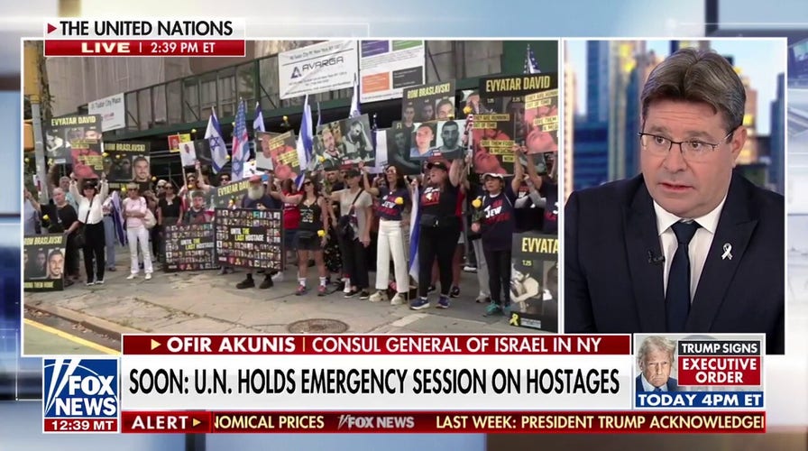 Consul general of Israel in NY urges that there is 'no starvation in the Gaza Strip'