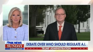Trump administration weighs AI regulation as concerns mount