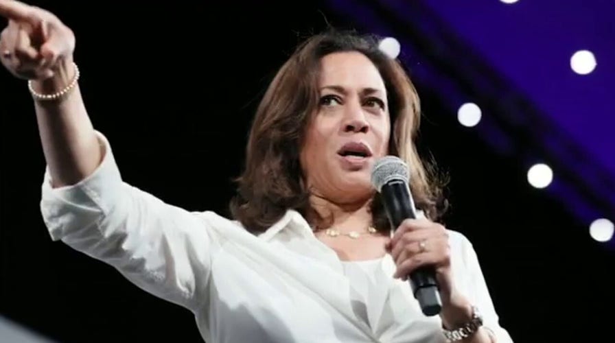 Gun rights advocate: Kamala's 'true stance' on guns is confiscation