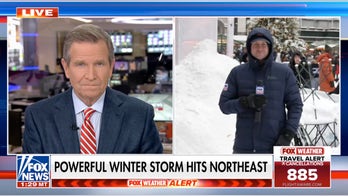 NYC's Bryant Park gets slammed with snow
