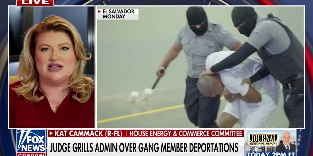 'It's ridiculous': GOP rep. slams activist judges for 'absurd' gang deportation stance