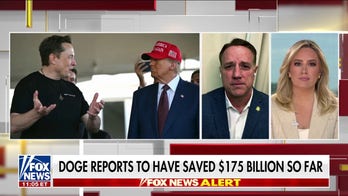 GOP lawmaker says ‘DOGE lives on’ amid Elon Musk’s departure
