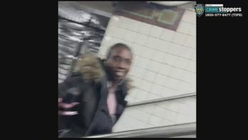 Woman burned by substance thrown in her face at Brooklyn subway station