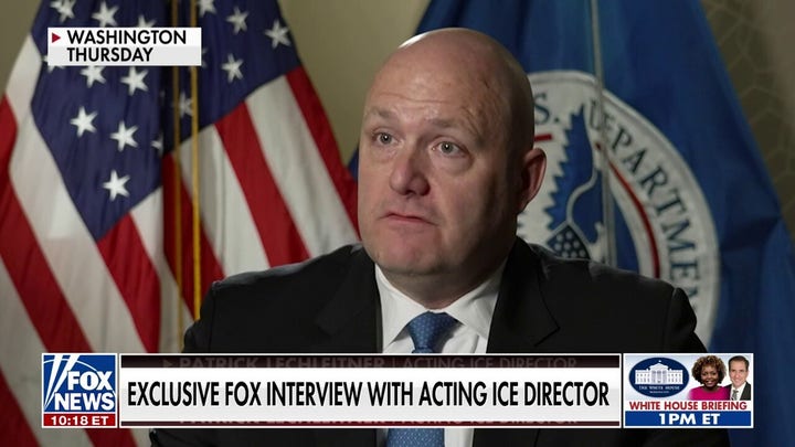 Sanctuary cities are ‘inherently more unsafe’: Acting ICE director Patrick Lechleitner