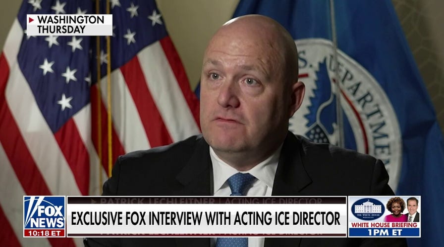 Sanctuary cities are ‘inherently more unsafe’: Acting ICE director Patrick Lechleitner