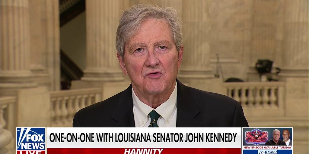 All Elon Musk is doing is looking at the spending, says Sen. Kennedy