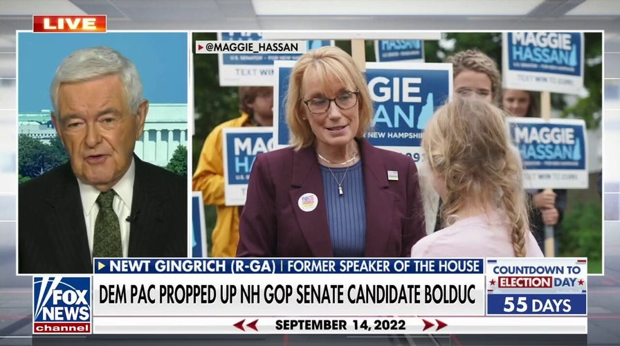 Democrat PAC money funding GOP candidates backfires: Gingrich