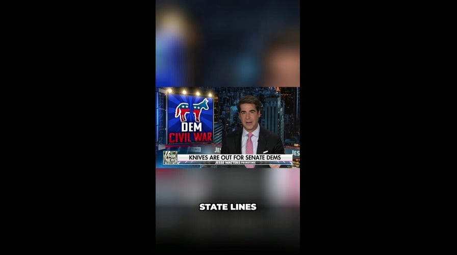 Jesse Watters connected the Democrats' 'civil war'