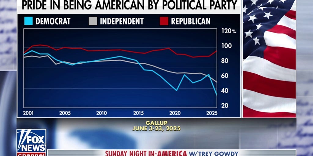 Patriotism should transcend administrations, says Democratic strategist