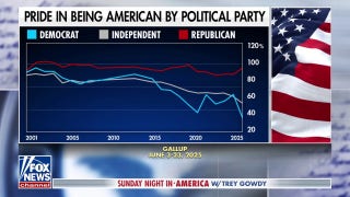 Patriotism should transcend administrations, says Democratic strategist