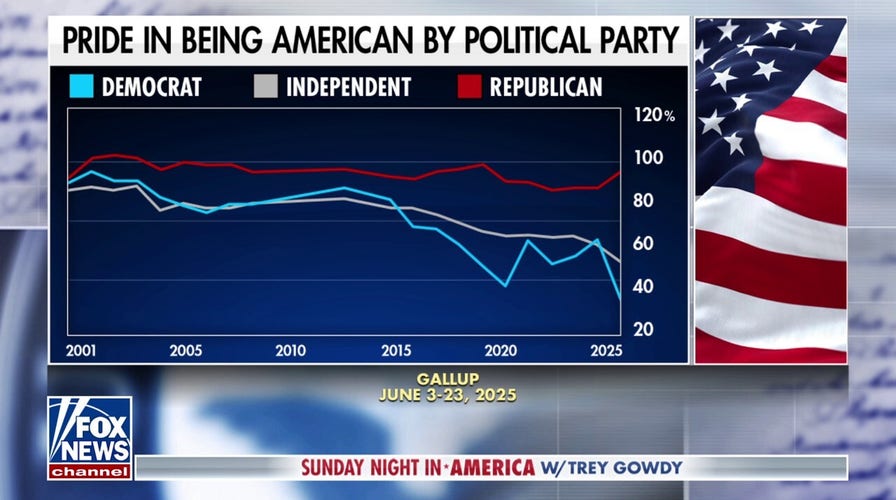 Patriotism should transcend administrations, says Democratic strategist