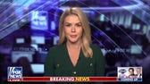 Karoline Leavitt: Trump campaigned on securing our homeland and that's exactly what he's doing