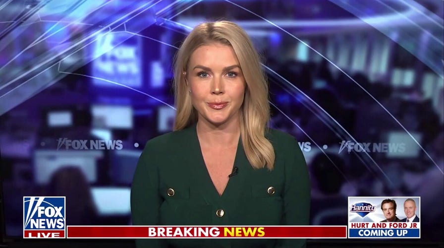 Karoline Leavitt: Trump campaigned on securing our homeland and that's exactly what he's doing