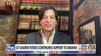 Ukraine left NATO summit with a 'closer alliance,' says David Tafuri