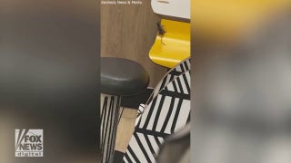 Mouse in the house! McDonald's customer captures video of rodent near her table - Fox News