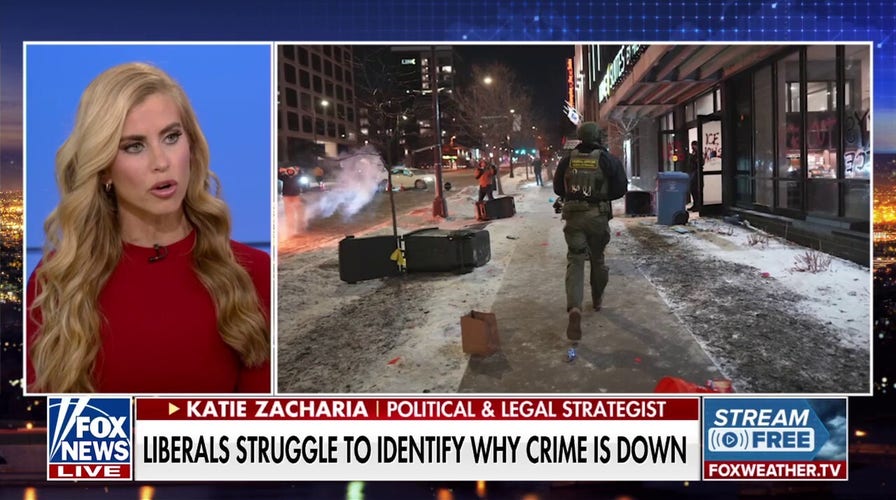 Democrats have continuously sided with criminal illegal aliens, political strategist says