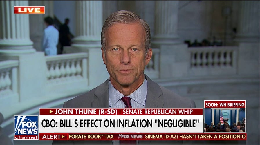 Democrats 'won't get a single Republican vote' on Inflation Reduction Act: Sen. Thune