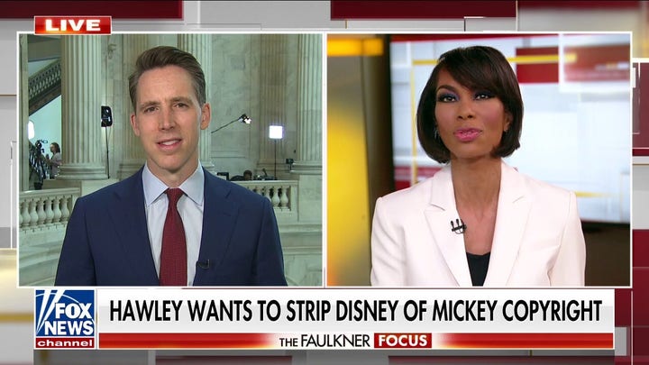 Hawley wants to stop federal handouts to 'woke' corporations like Disney