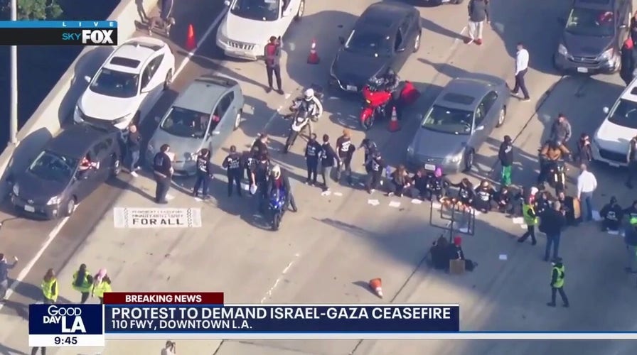 Angry commuters confront pro-Palestinian protesters blocking LA freeway during rush hour