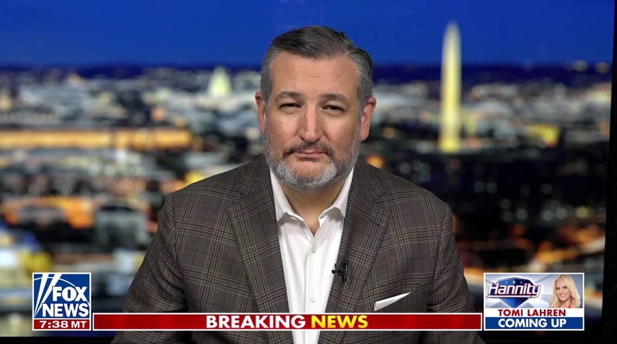 Ted Cruz: For four years, Biden wasn't running the country