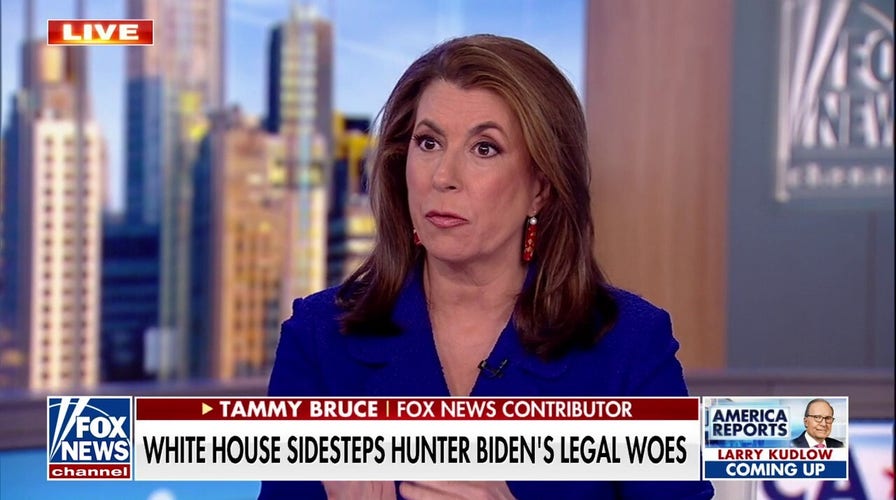  Tammy Bruce: White House wants Hunter Biden to be kept separate