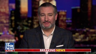  Kamala Harris is running a ‘fundamentally dishonest campaign’: Sen. Ted Cruz - Fox News