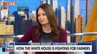 Agriculture secretary cites Biden-era price increases as part of ‘perfect storm’ hurting farmers