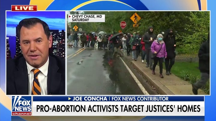 Joe Concha: 'Sunny Hostin is basically the Nina Jankowicz of talk show hosts'