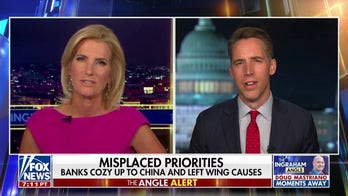 Big business is more and more 'anti-America': Josh Hawley