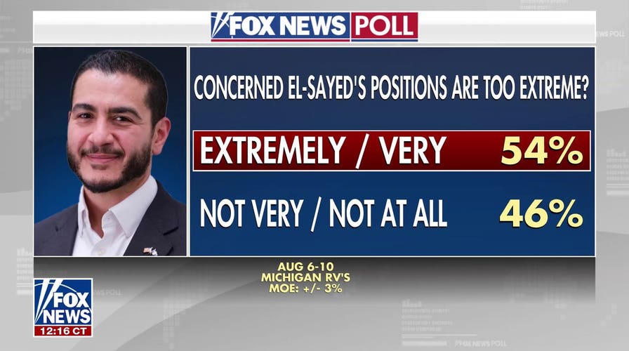 More than half of Michigan voters concerned El-Sayed’s positions are too extreme: Poll