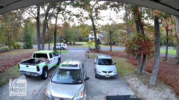 Deer makes incredible leap across driveway into bed of truck that's about to be sold 