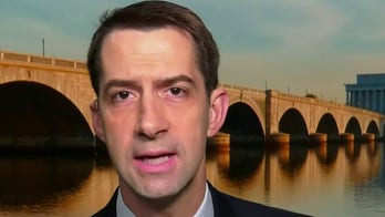Sen. Cotton and Rep. Gallagher: China stole US capacity to make drugs — we must take it back