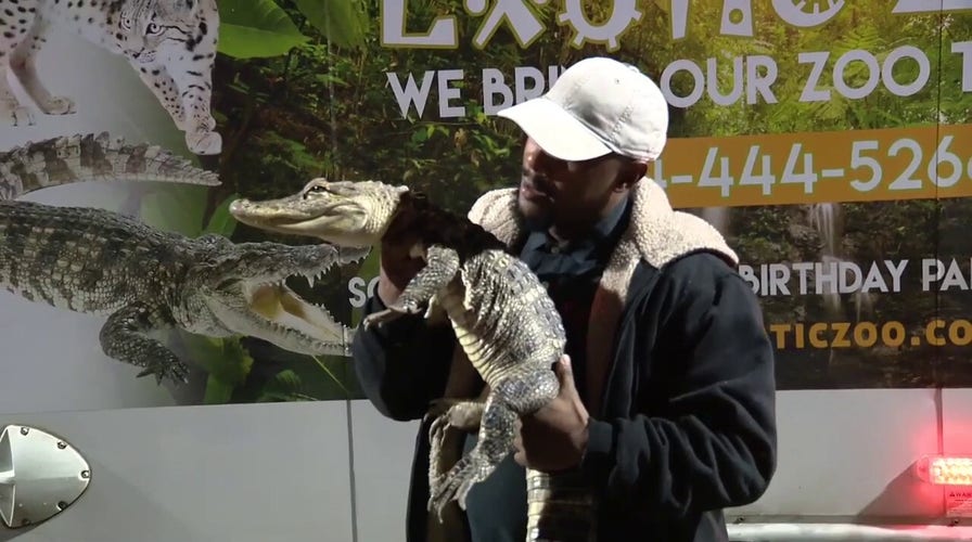 Family of alligators found in Detroit home during eviction