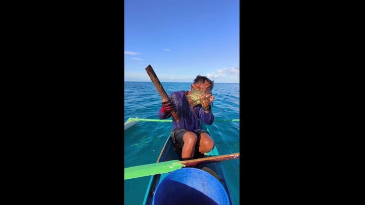Fisherman battles stubborn octopus after it latches onto his face at sea