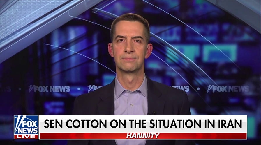 Sometimes military force is ‘vital to achieve national interests’: Sen. Tom Cotton 