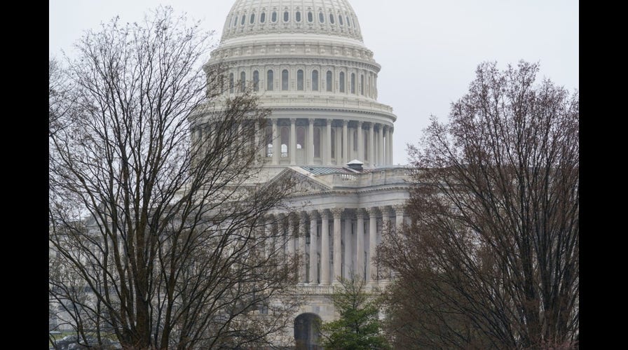 McEnany slams Dems' 'naked power grab': It's a sham and divisive