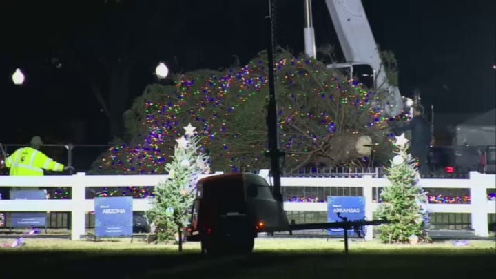 White House Christmas tree falls amid high winds