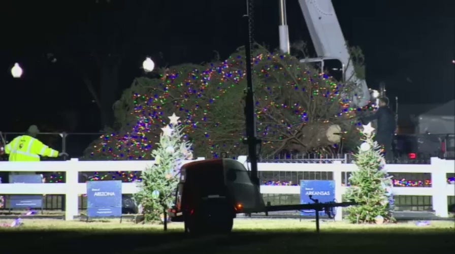 White House Christmas tree falls amid high winds